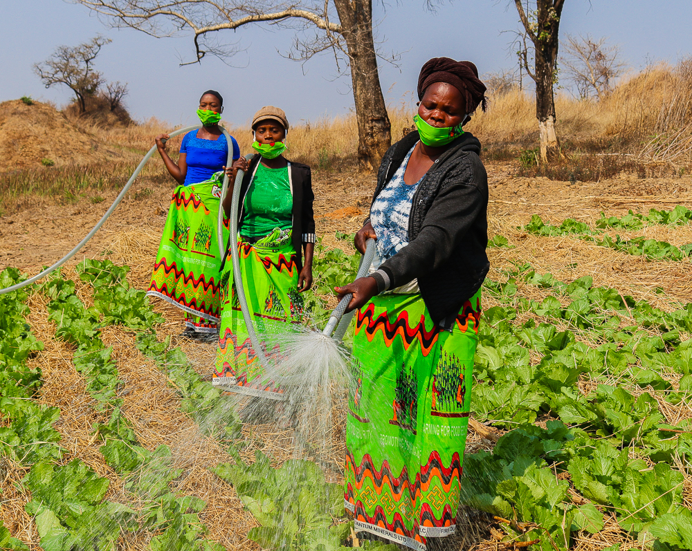 The new harvest: Kansanshi facilitates vegetable growing innovation in Solwezi