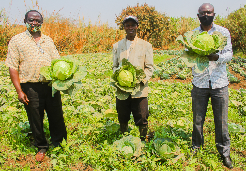 Planning with a heart for veggies and fruits