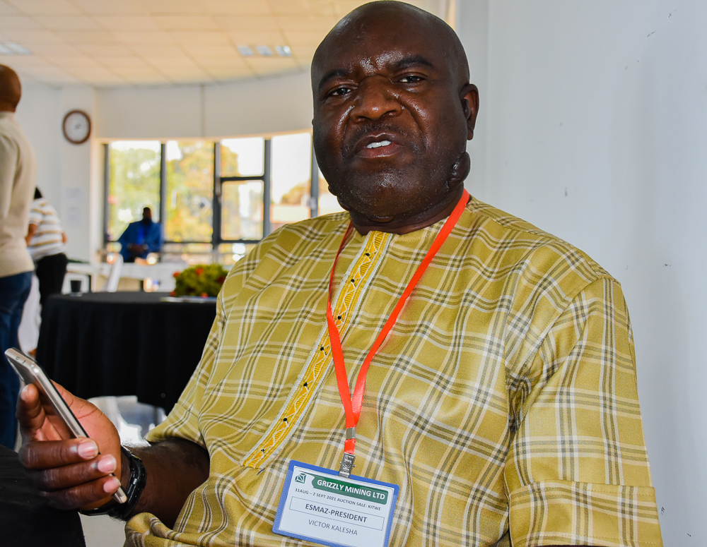 Copperbelt emerald auction wins plaudits for Grizzly Mining