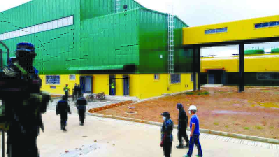 We’ll keep mealie-meal prices within reach-Lufuna   