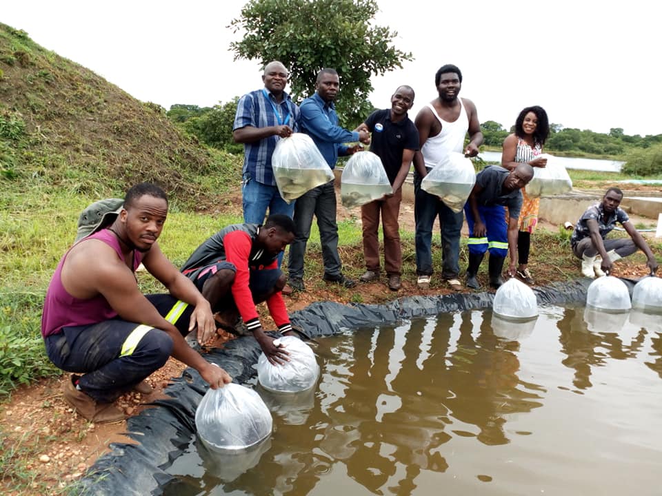 $11m Disbursed Under The Aquaculture Seed Fund