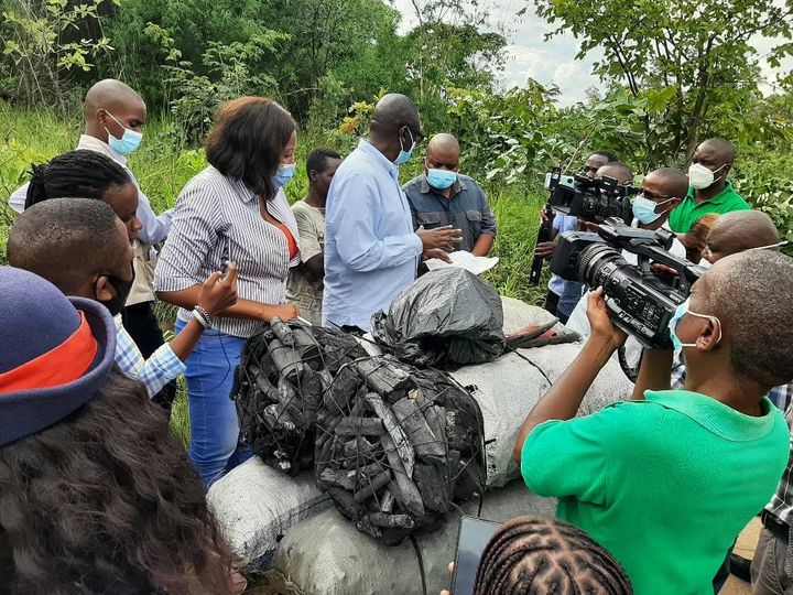 FORESTRY DEPARTMENT URGED TO REINFORCE TREE CONSERVATION MEASURES