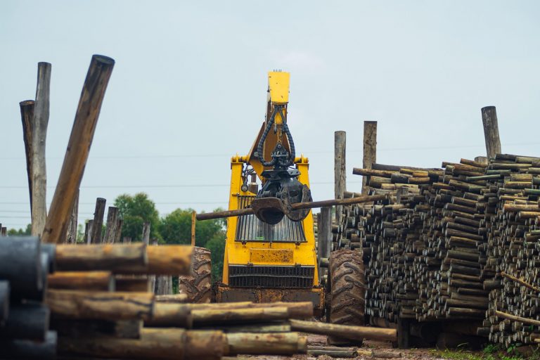 ZAFFICO SPENDS $1M ON STATE OF THE ART EQUIPMENT FOR HARVESTING TIMBER