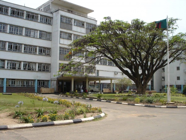 12 KITWE PUPILS
