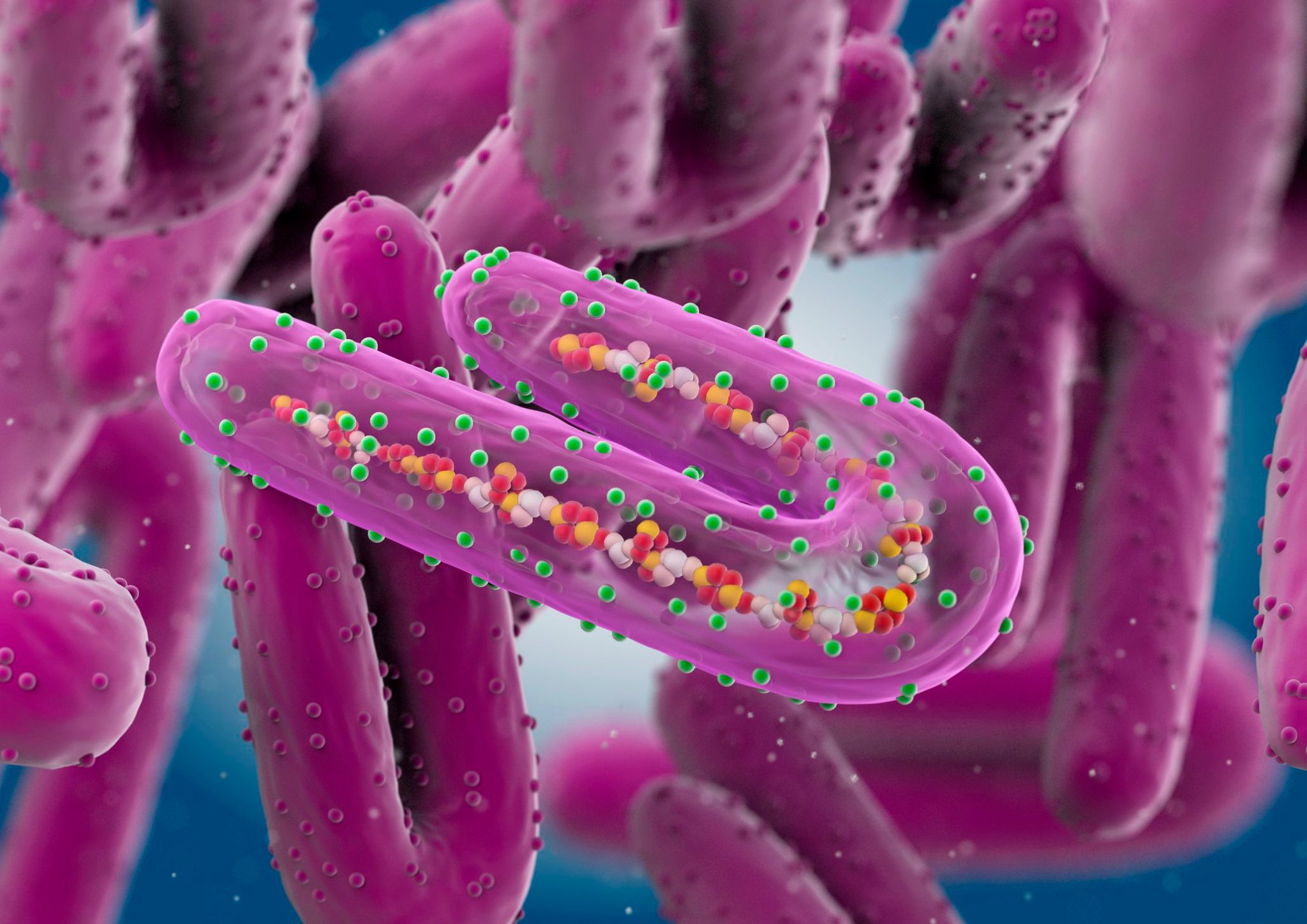 MINISTRY OF HEALTH CLOSELY MONITORING OUTBREAK OF MARBURG VIRUS