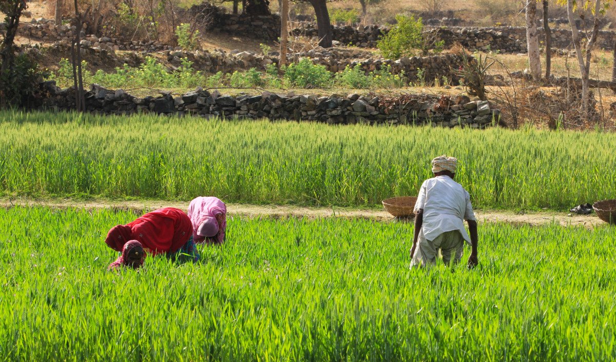 US’s Zambia investment plan targets African food security