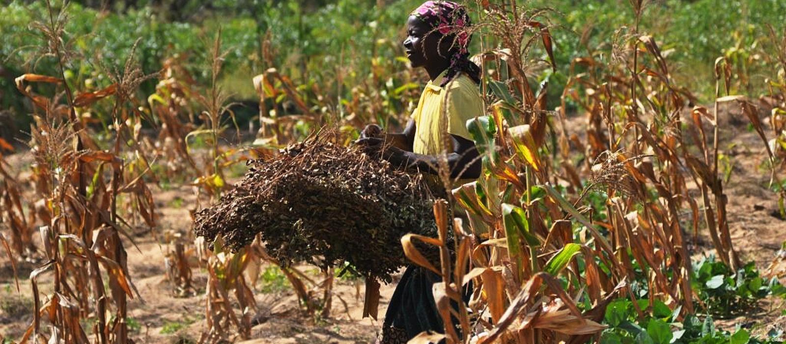 ‘AFRICA LOSES 5-15% IN GDP EACH YEAR DUE TO CLIMATE CHANGE’ – UNEP