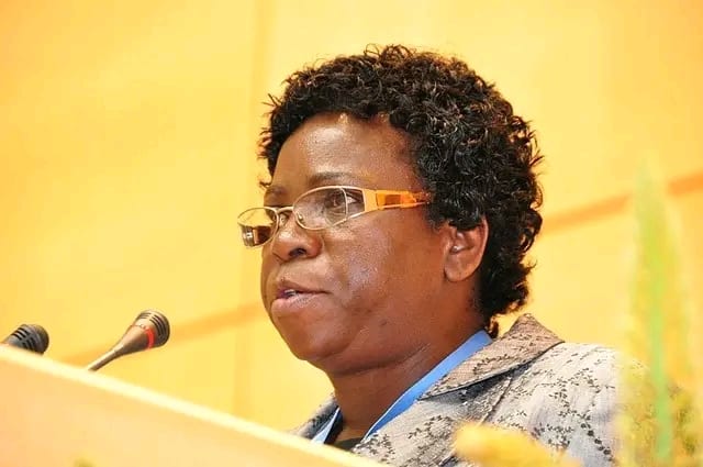 Economic stability on course – veep