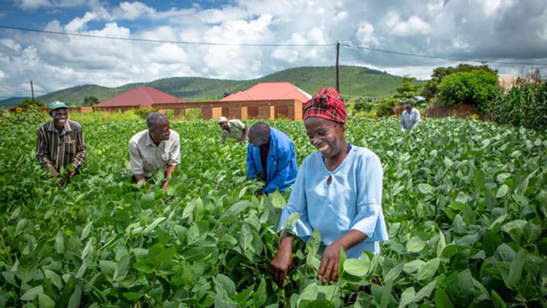 Zambia to benefit from $350m climate fund