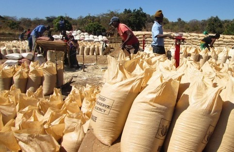 FOod Reserve Agency denise reports of maize shortage on the Copperbelt 
