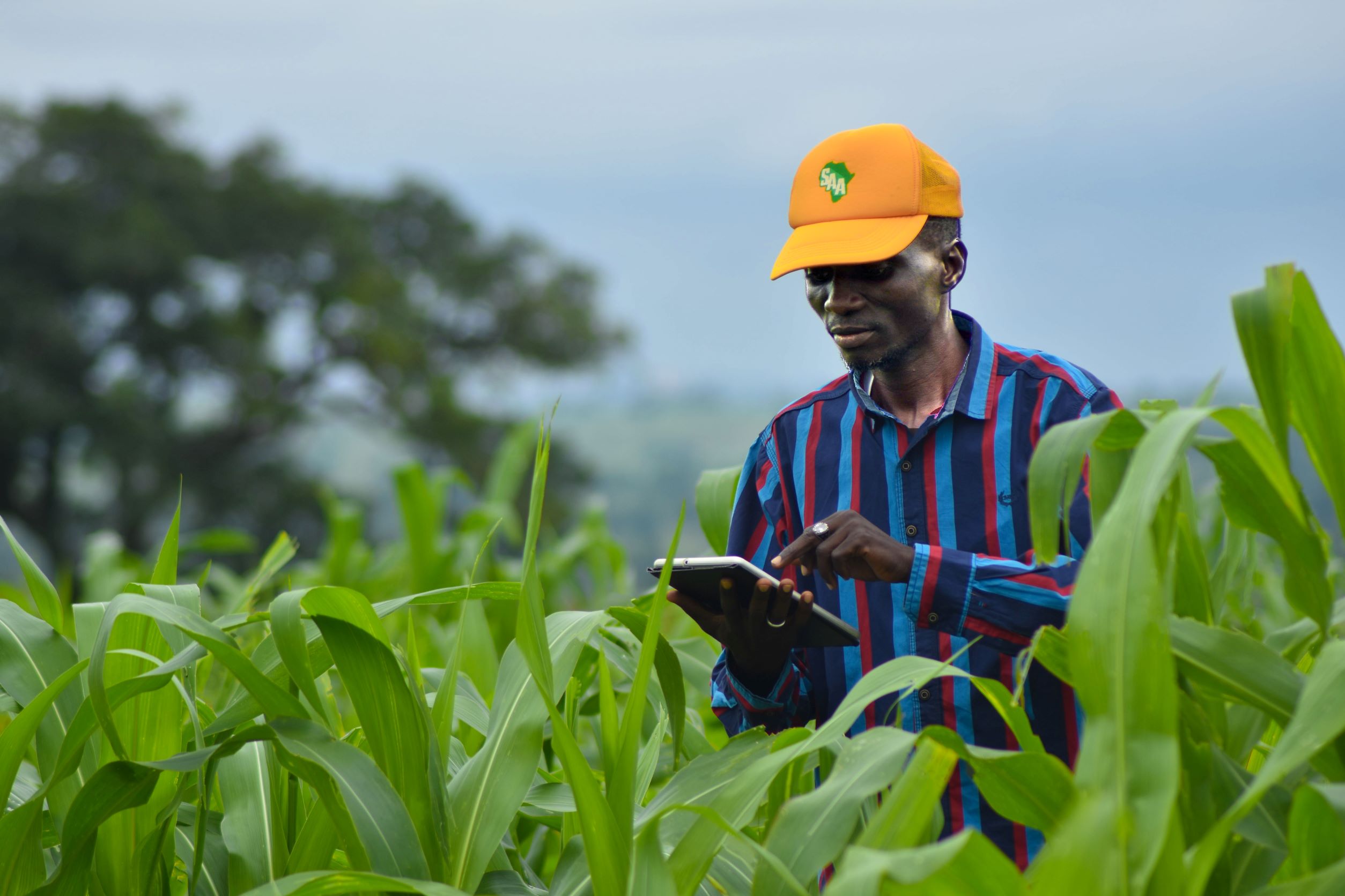 Agro-Professionals told to register