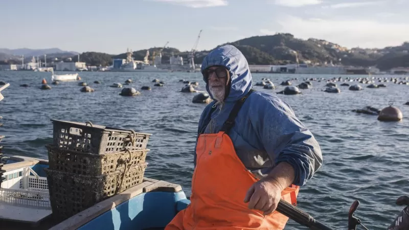 Climate change: recent, rapid ocean warming alarms scientists