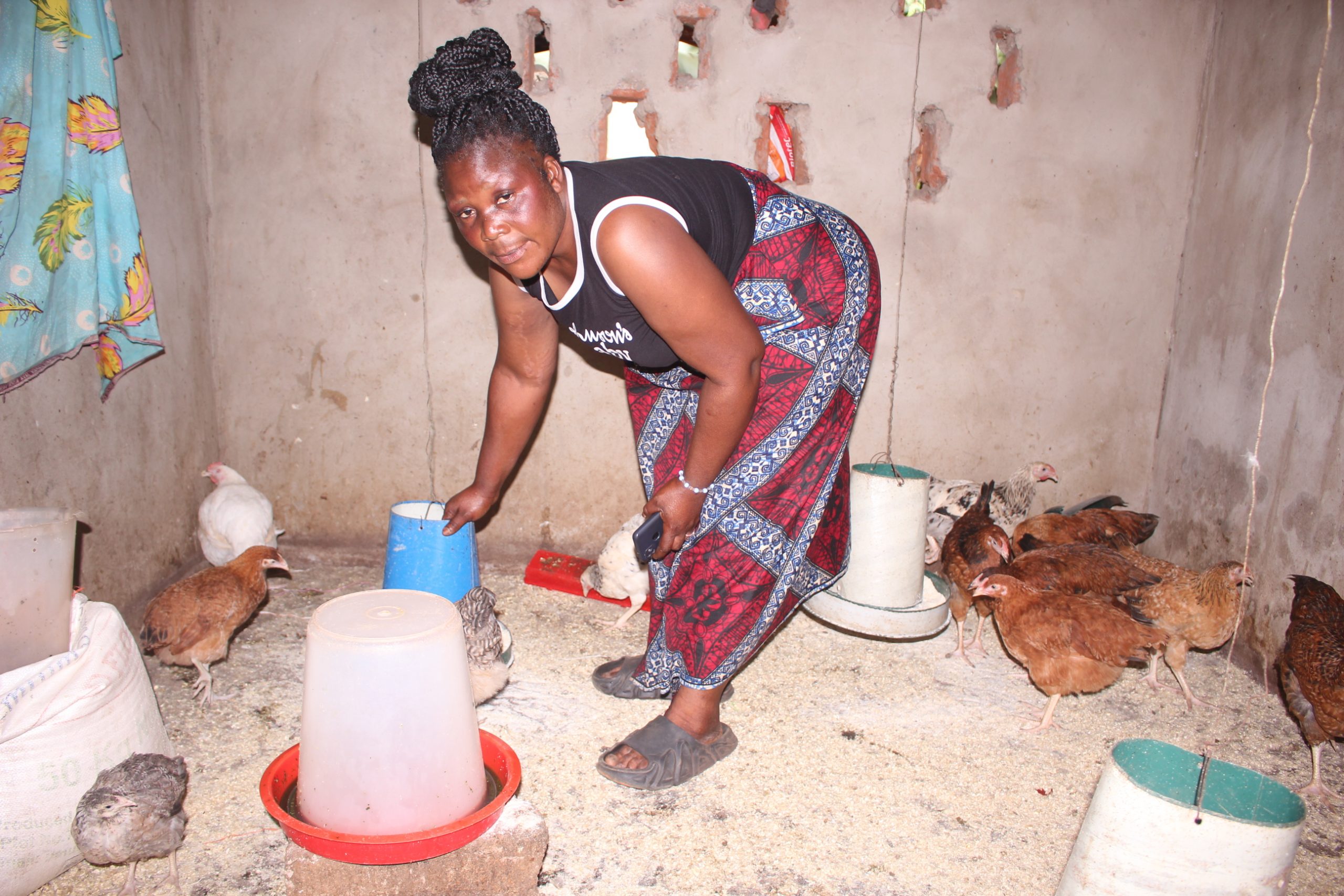 Imaginative Poultry Farmer Expands into Cassava, Maize, Soya