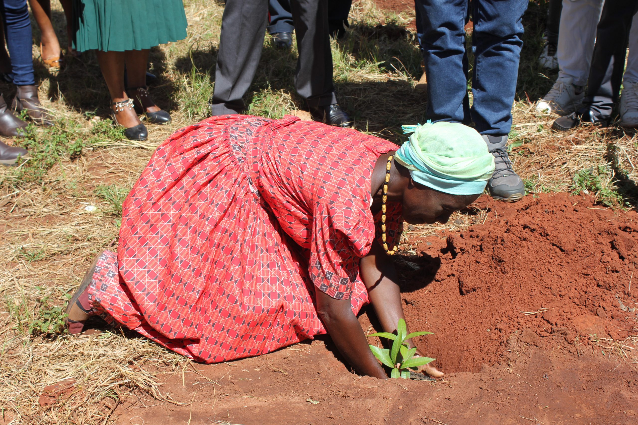 ‘Let’s plant trees for good health’