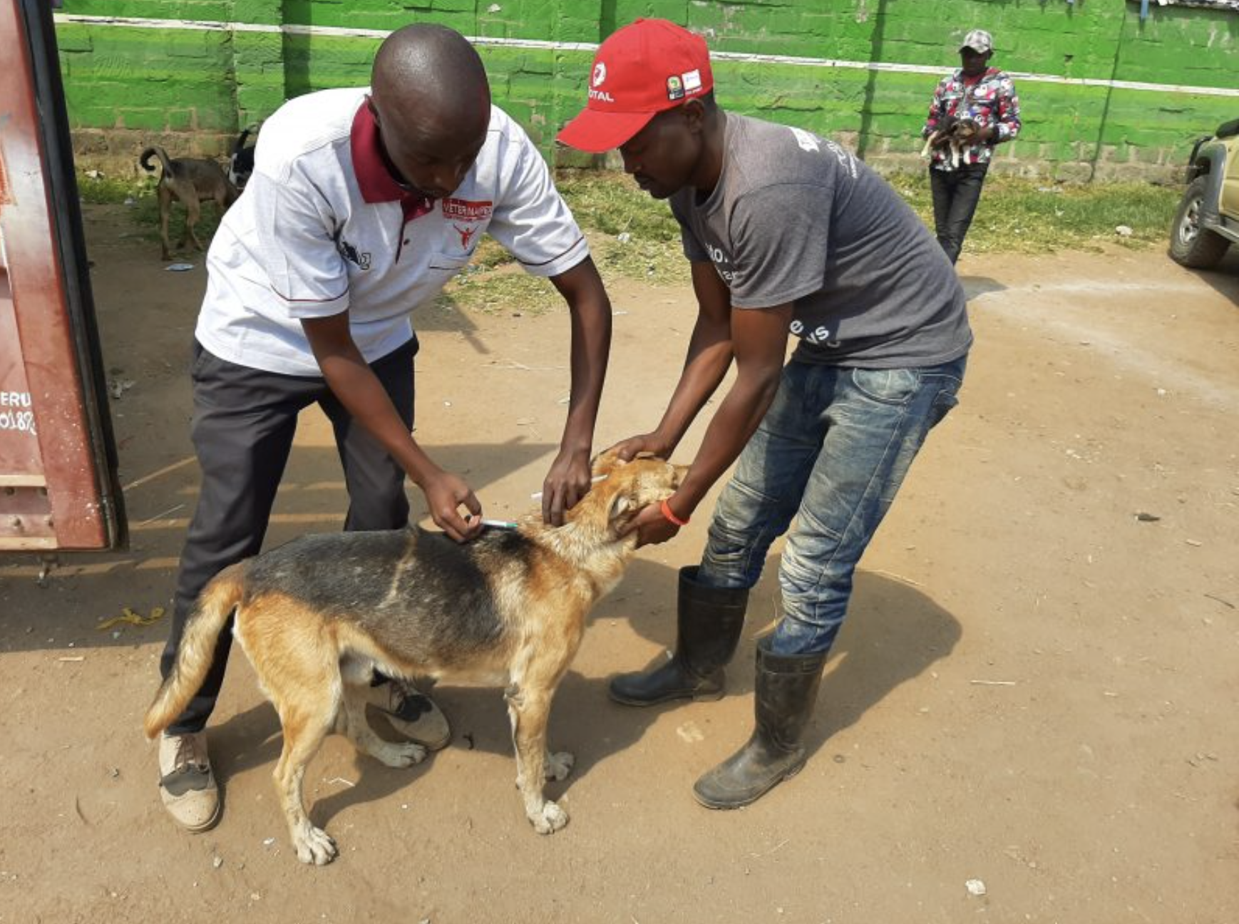 Kafue residents warned of rabies outbreak