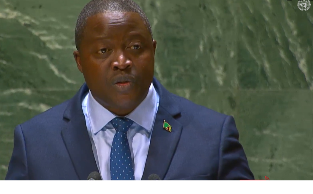 Zambia expresses its concern at global challenges