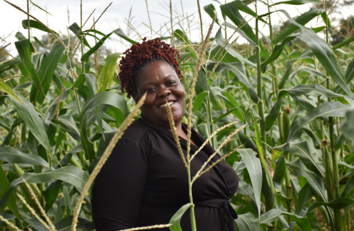 Zambian dynamo rounds up 60,000 farmers into agribusiness