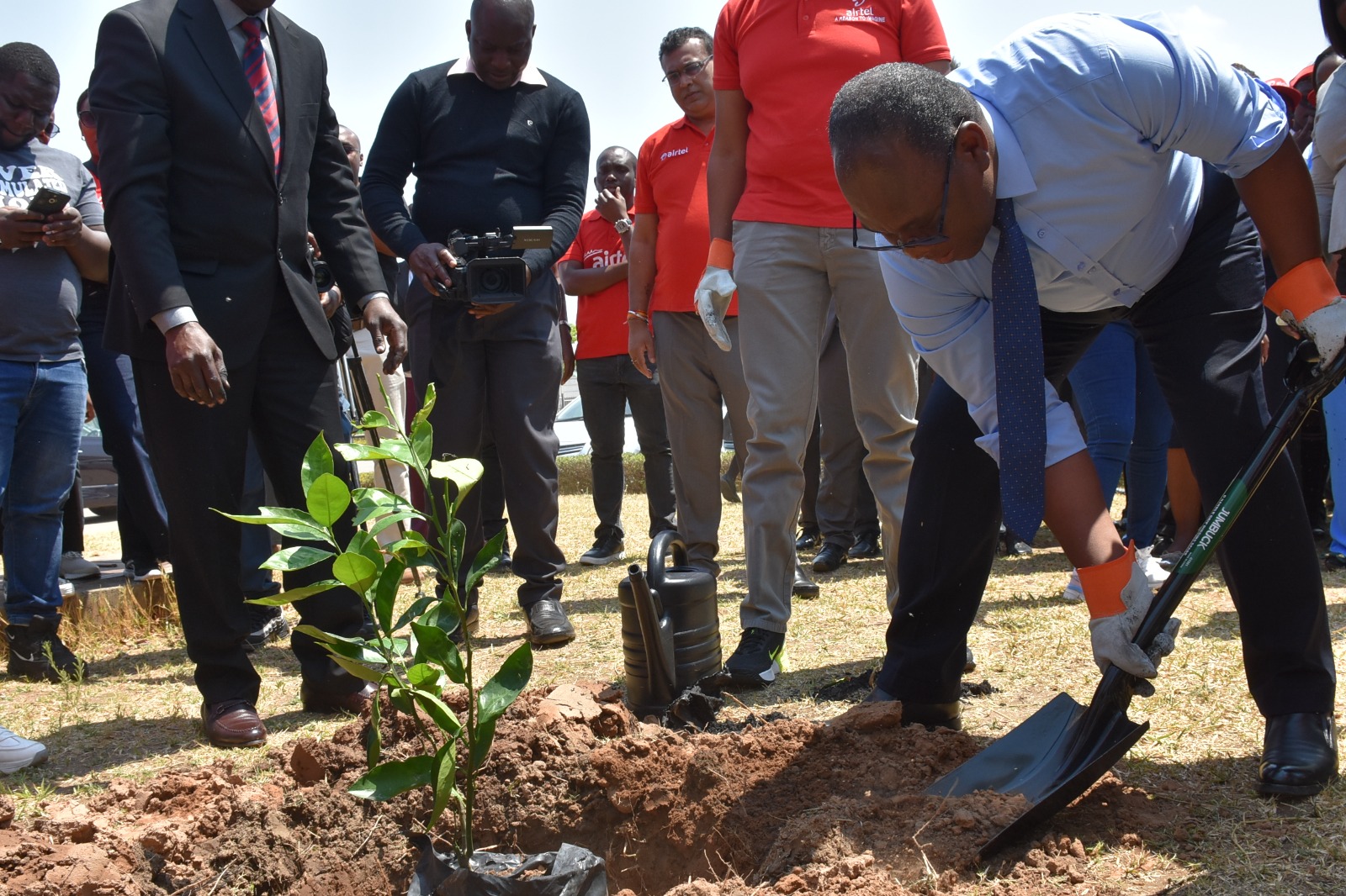 Airtel roll-out nationwide tree planting drive